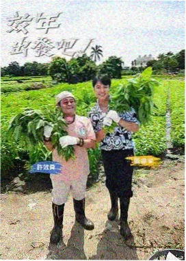 就要草视频综艺-王牌对王牌